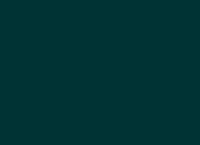 Delfoi Consultancy