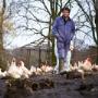 Beek BV Gebr Van