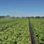 Hessing Belfeld BV