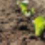 Hessing Belfeld BV