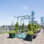 Dakterras Groot Handelsgebouw