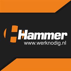 Hammer Techniek & Detachering B.v.