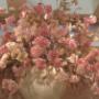 Lily Flowers