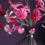 Lily Flowers