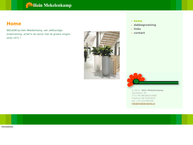 Website van Hein Mekelenkamp 