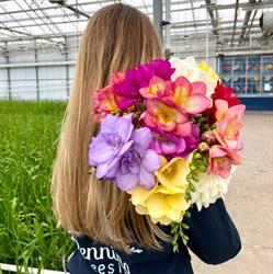 Penning Freesia B.V.
