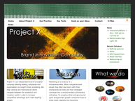 Project X. B.v.