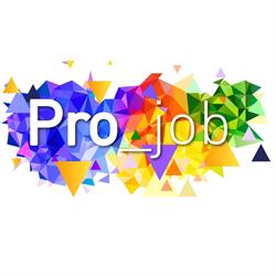 Projob B.v.