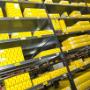 Staadegaard Automotive BV