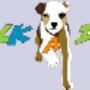 Walk a Dog