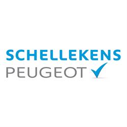 Autobedrijf Schellekens Eurorepar Peugeot Onderh Campers Dongen Oosterhout Tilburg
