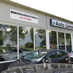 Auto Lemmer