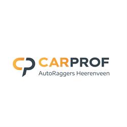 AutoRaggers Heerenveen | CarProf | Mitsubishi Dealer | NexDrive Center