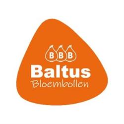 Gebr. Baltus