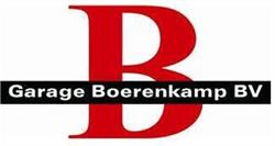 Autobedrijf Boerenkamp BV, Specialist in Nissan / Ligier en Microcar Dealer