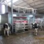 melkrobot Lely