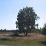 Camping en Chaletpark De Hanenburg