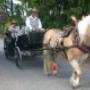 Hertenhof Camping 't