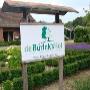 Burink's Hof De