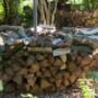 Kleine Plantage De