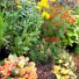 Kleine Plantage De