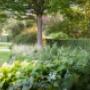 Kleine Plantage De