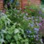 Kleine Plantage De
