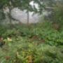 Kleine Plantage De