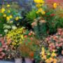 Kleine Plantage De