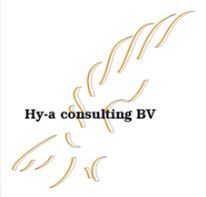 Hy-A. Consulting B.V.