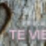 Rank Bloemen en Woondecoratie De