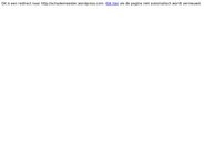 Website van De Schademeester B.v. 