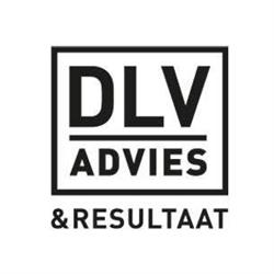 DLV Makelaardij B.V.