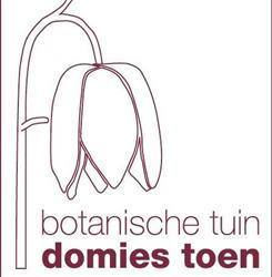 Stichting Domies Toen