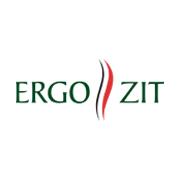Ergozit