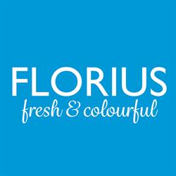 Florius B.v.