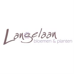 Langelaan bloemen & planten