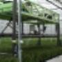 Havelaar & Zn BV K A