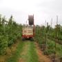 Heerschap Drainage BV