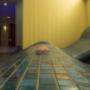 Noordzee Hotel & Spa