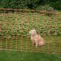 camping / afrastering hond