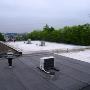 Dakbedekking