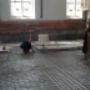 Renovatie