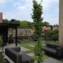 Tuindesign Lammert Kroesen