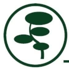 Nobilis Trading Ltd.