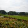 Osebos Camping