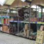 Fixet Terschelling