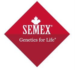 Semex Holland B.v.