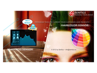 Sentics
