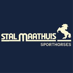 Stal Maathuis